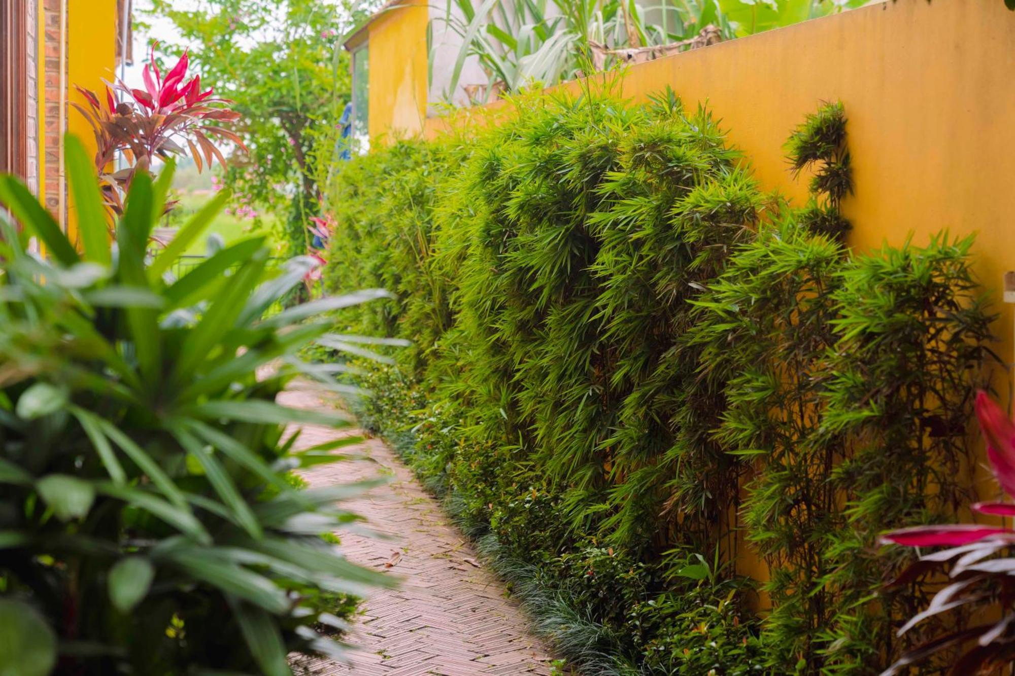 Papaya Bungalow & Rice Fields Apartamento Ninh Binh Exterior foto